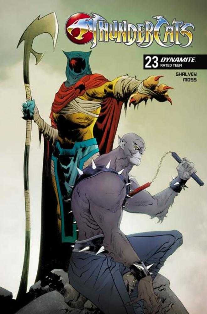 Thundercats #23 Cover C Jae Lee Variant