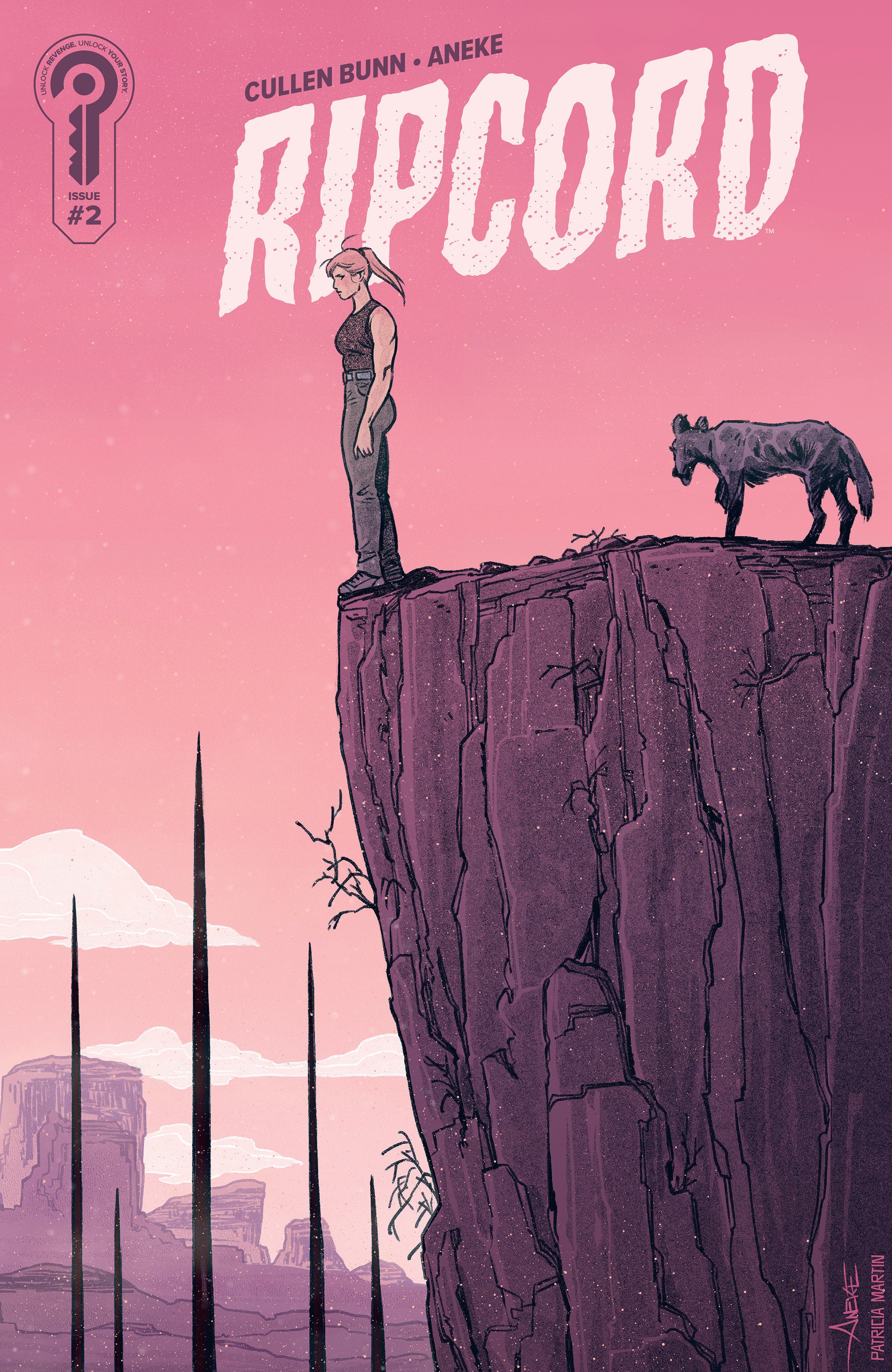 Ripcord #2 Cover B Aneke