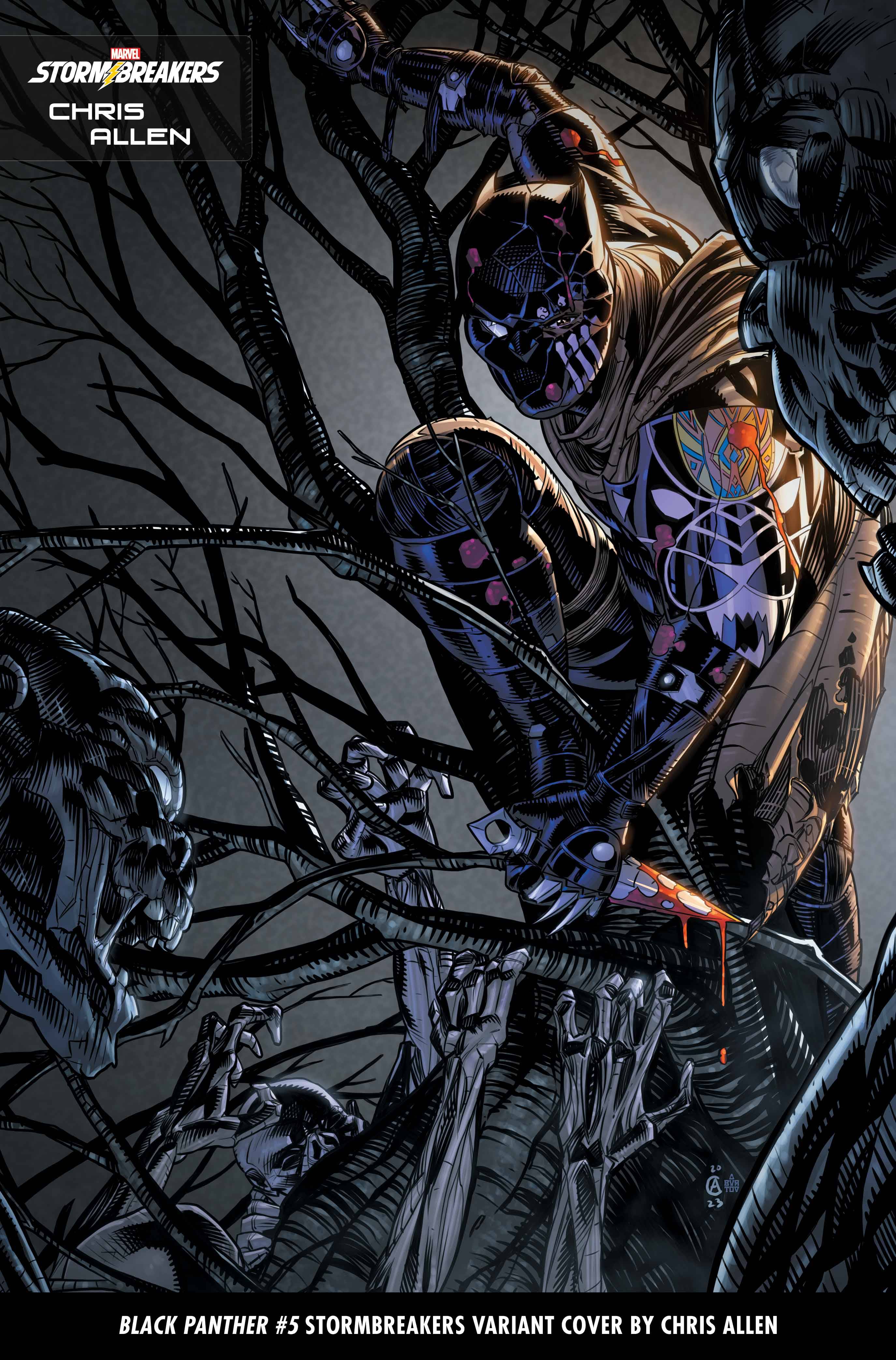 Black Panther #5 Chris Allen Stormbreakers Variant