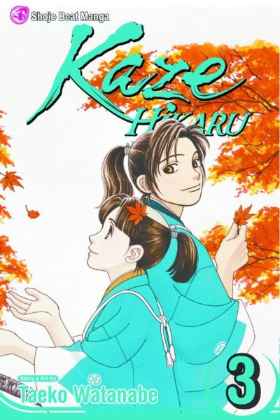 KAZE HIKARU GN VOL 03