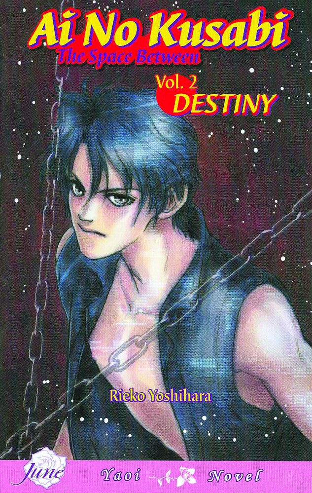 AI NO KUSABI SPACE BETWEEN NOVVEL VOL 02 DESTINY