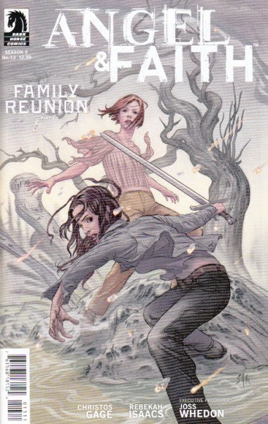 ANGEL & FAITH (2011) #13 STEVE MORRIS CVR