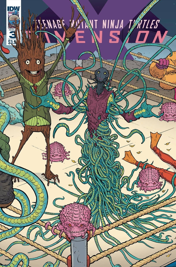 TMNT DIMENSION X #3 CVR A PITARRA
