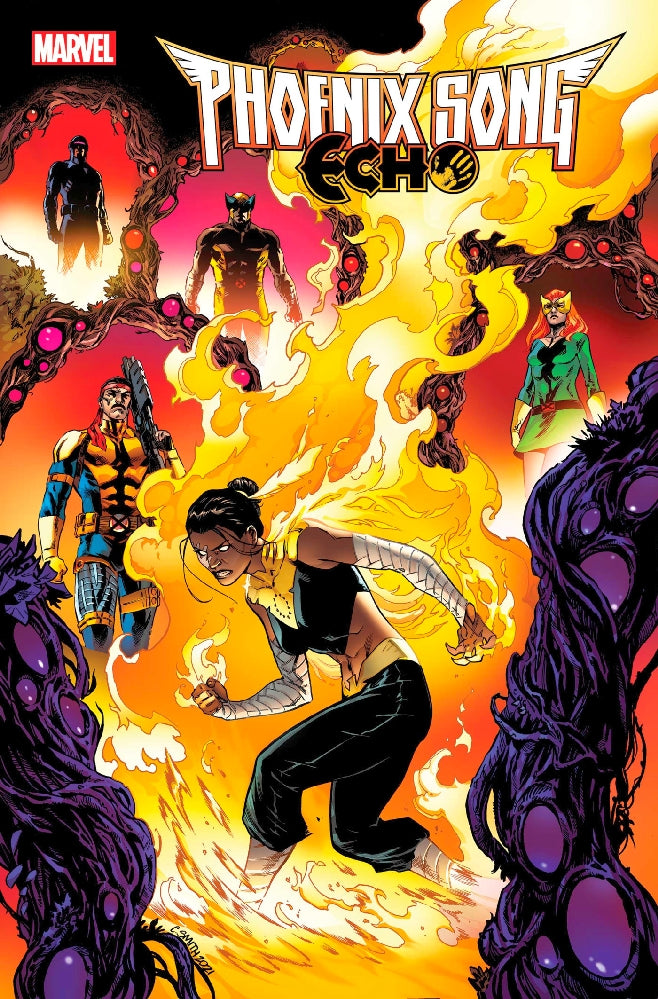 PHOENIX SONG ECHO #2 (OF 5)