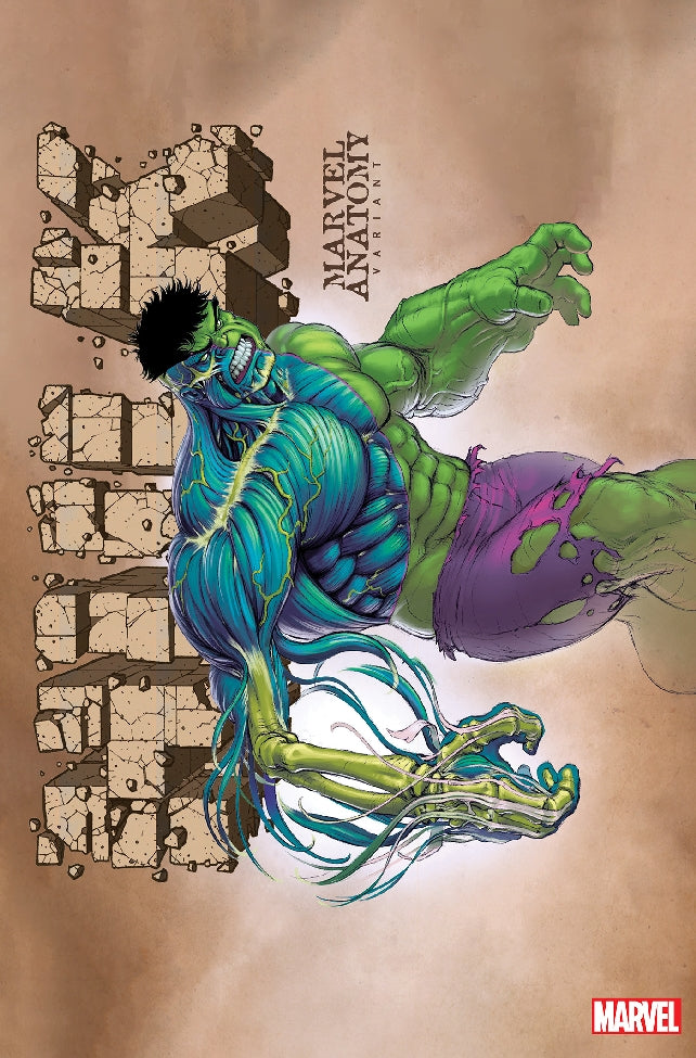 HULK #11 MARVEL ANATOMY VAR