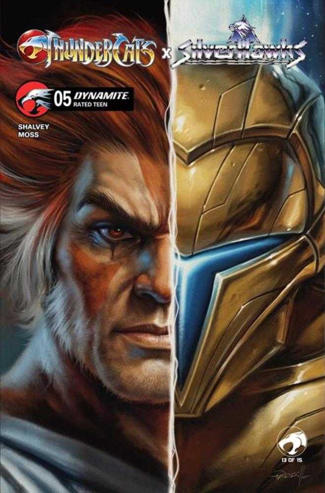 Thundercats X Silverhawks #5 Cover B Lucio Parrillo Variant