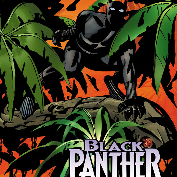 Black Panther 60 Th Anniversary Special #1 Steve Rude Variant