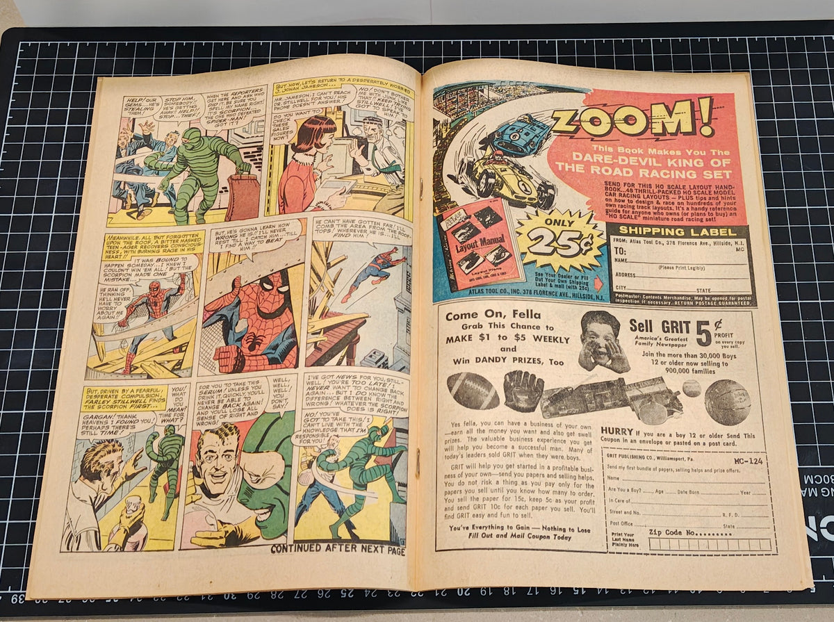 AMAZING SPIDER-MAN (1963) #020 VF (8.0)