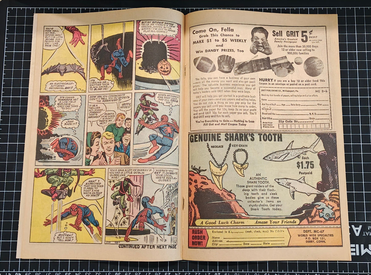 AMAZING SPIDER-MAN (1963) #017 VF (8.0)