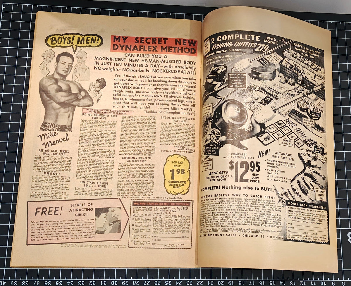 AMAZING SPIDER-MAN (1963) #003 FN (6.0)