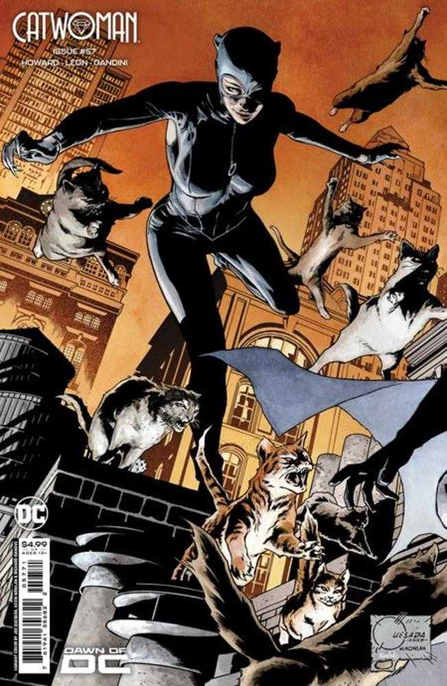 Catwoman #57 Cover F Joe Quesada Connecting Card Stock Variant (Batman Catwoman The Gotham War)