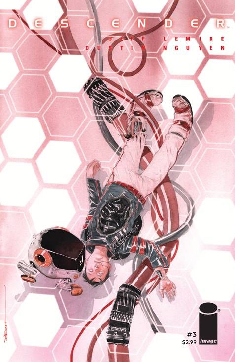 DESCENDER #3 (O/A) (MR)