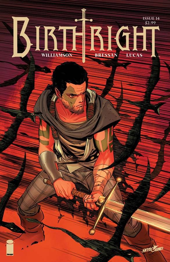 BIRTHRIGHT #14 CVR B DRAGOTTA