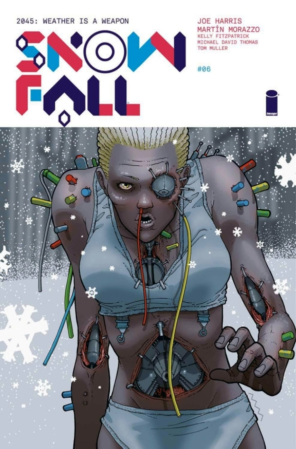 SNOWFALL #6 (MR)