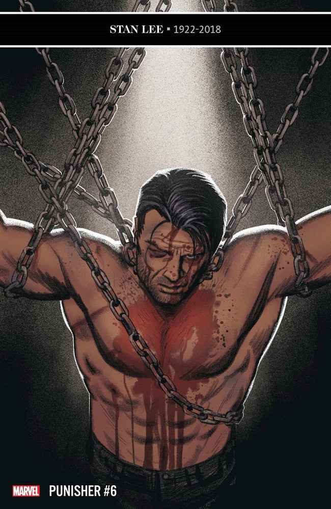 PUNISHER #6