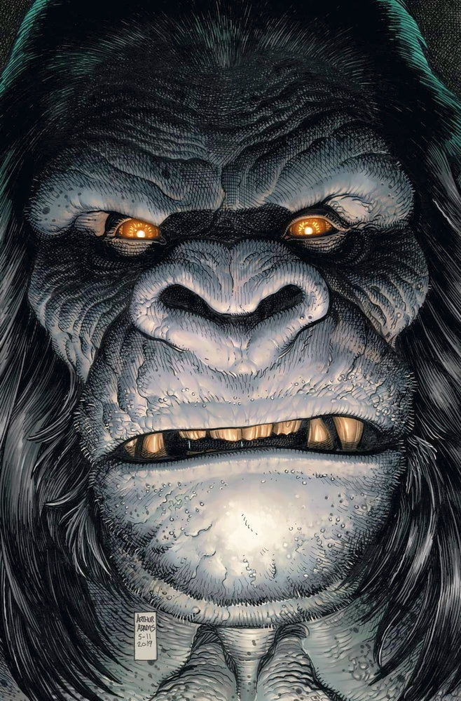 JUSTICE LEAGUE #27 CARD STOCK VAR ED