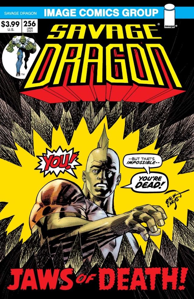 SAVAGE DRAGON #256 CVR B RETRO 70S TRADE DRESS (MR)