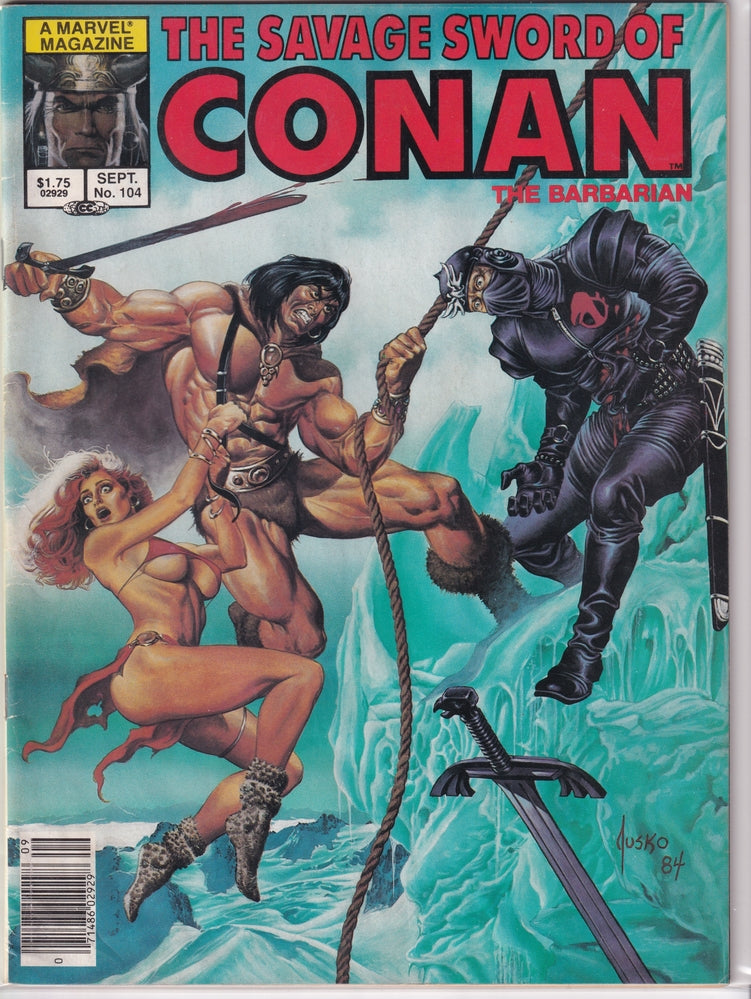 SAVAGE SWORD OF CONAN (1974) #104 FN+