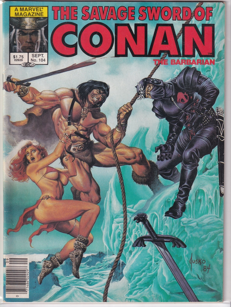 SAVAGE SWORD OF CONAN (1974) #104 FN/VF